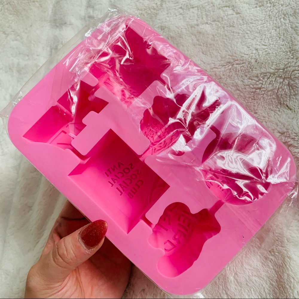 BRAND NEW ASSC Ice Rink Ice Tray 💓🖤